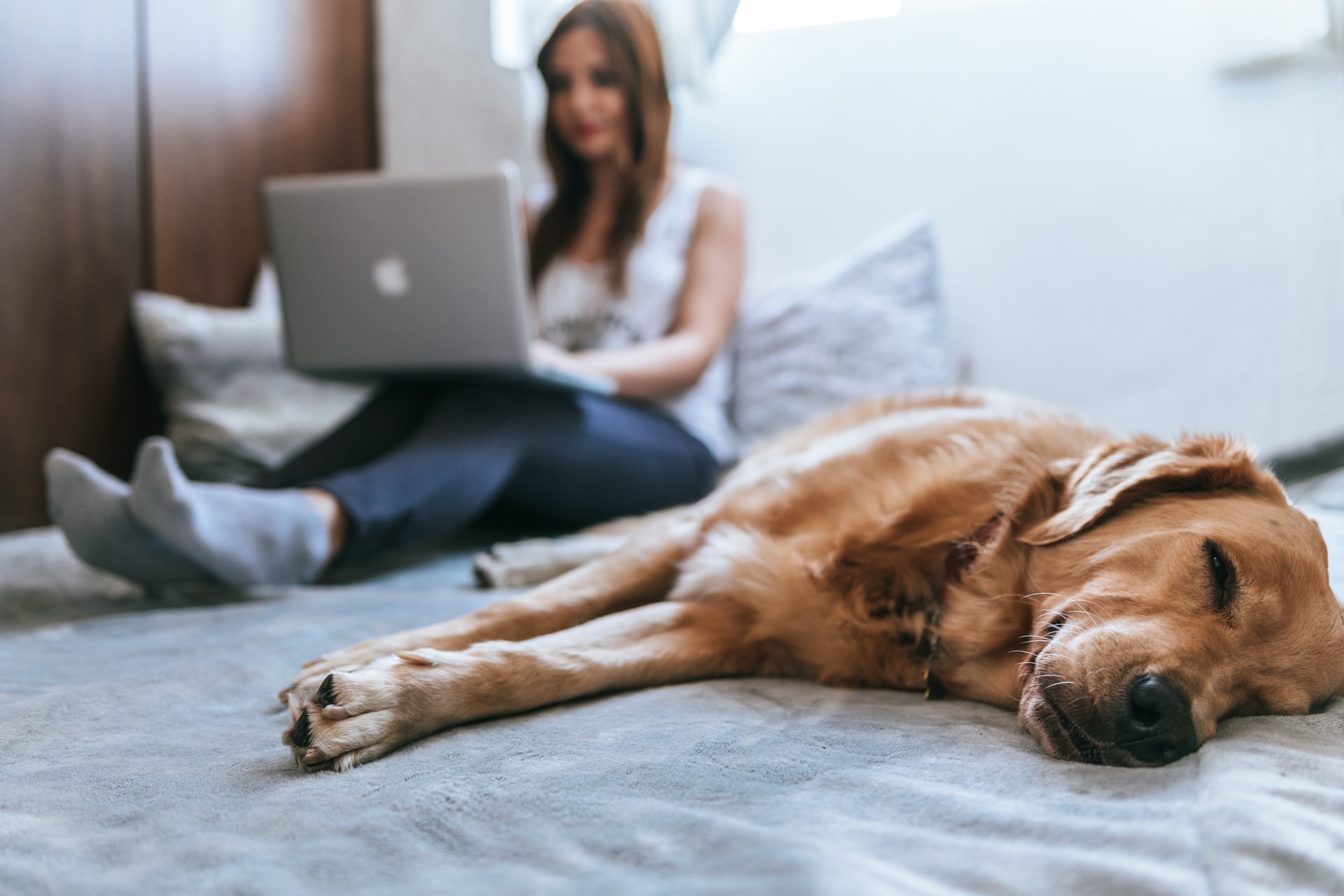 Jeune femme qui recherche des annonces d’emploi sans diplôme avec son ordinateur sur son lit Jeune femme qui recherche des annonces d’emploi sans diplôme avec son ordinateur sur son lit